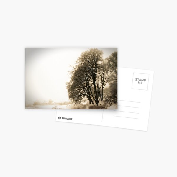 Winter 09 Postcard