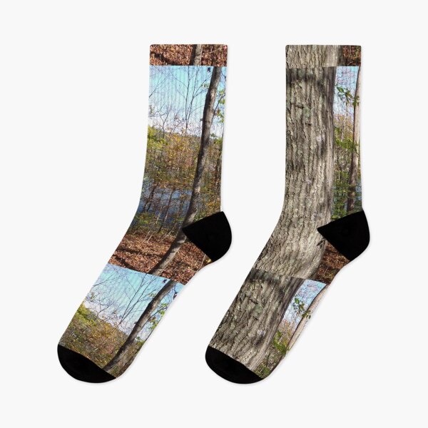 Item preview, Woods by the lake designed and sold by AlicesArtistry.