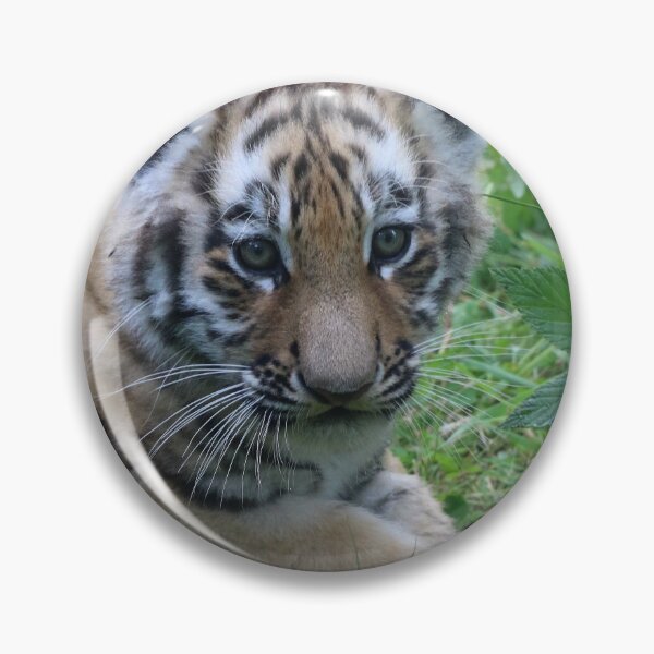 Item preview, New Cub on the block designed and sold by Dorothy Thomson.