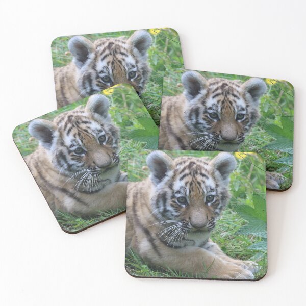 Item preview, New Cub on the block designed and sold by Dorothy Thomson.