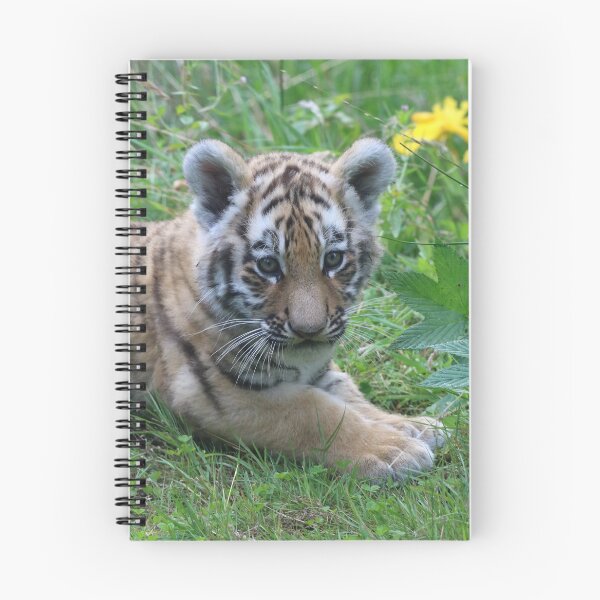 Item preview, New Cub on the block designed and sold by Dorothy Thomson.