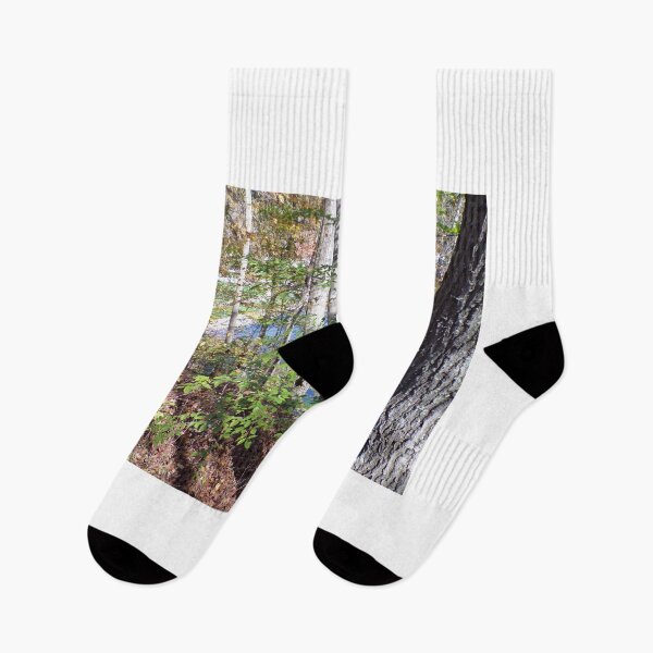 Item preview, Trees on a hill by the lake designed and sold by AlicesArtistry.