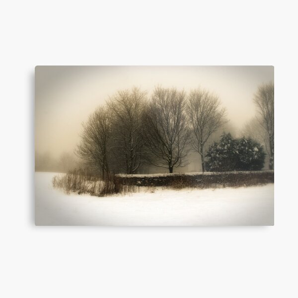 Winter 01 Metal Print