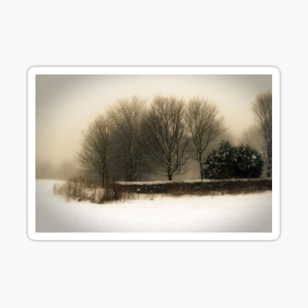 Winter 01 Sticker