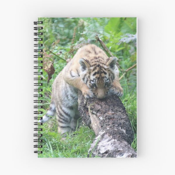 Item preview, Nosy Baby. Amur Tiger Cub designed and sold by Dorothy Thomson.