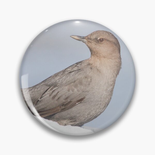 Item preview, American Dipper designed and sold by Jukka Jantunen.