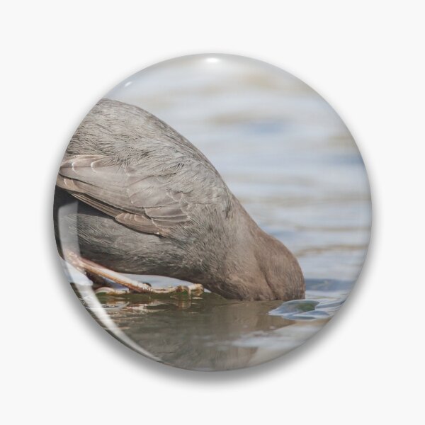 Item preview, American Dipper designed and sold by Jukka Jantunen.