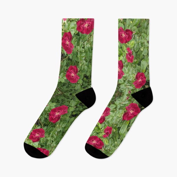 Item preview, Red Flowers designed and sold by Maxwell Nightser.