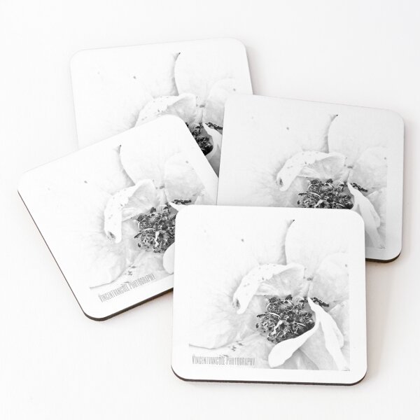 Item preview, Purity designed and sold by VincentVanCole.