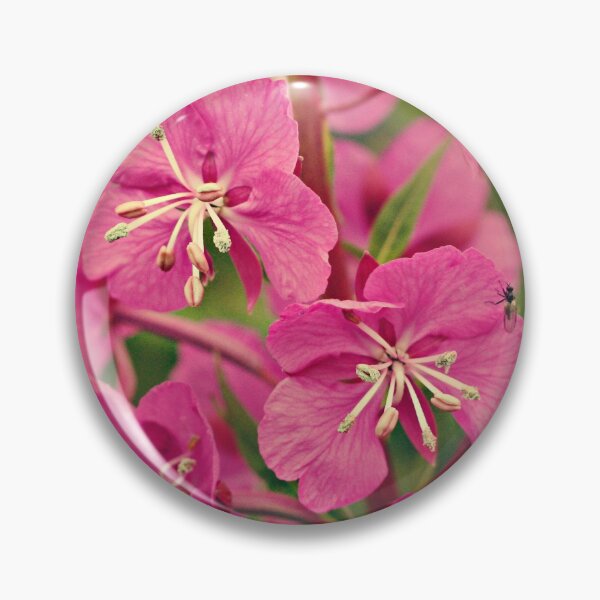 Item preview, Alaskan fireweed with fly designed and sold by Wscholl.