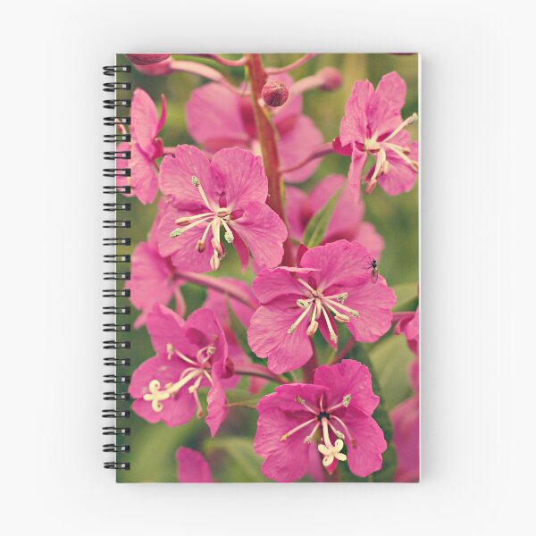 Item preview, Alaskan fireweed with fly designed and sold by Wscholl.