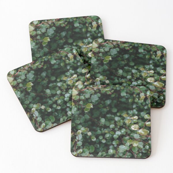 Item preview, Evergreen Plant At Botanic Garden designed and sold by Ilya Chirkov.