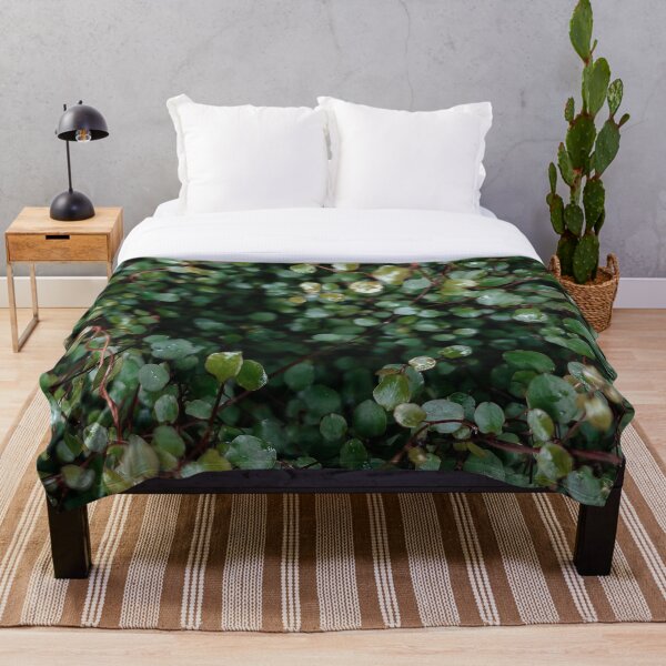 Item preview, Evergreen Plant At Botanic Garden designed and sold by Ilya Chirkov.