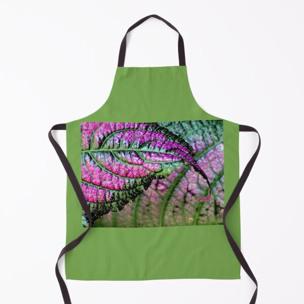 Item preview, An Iota designed and sold by Jean Gregory Evans.