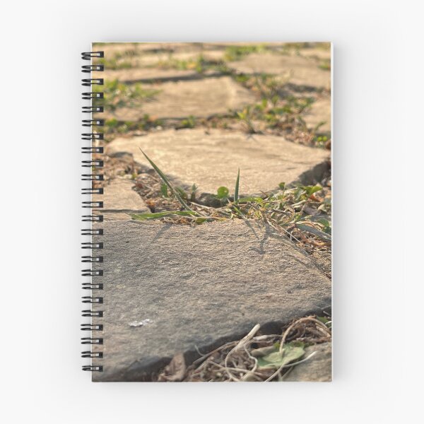 Item preview, rock path designed and sold by Revinished.