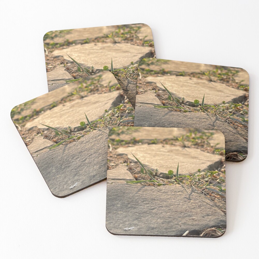 Item preview, Coasters (Set of 4) designed and sold by Revinished.