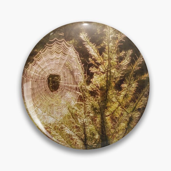 Item preview, Web In Morning Sun designed and sold by Robert Alsop.
