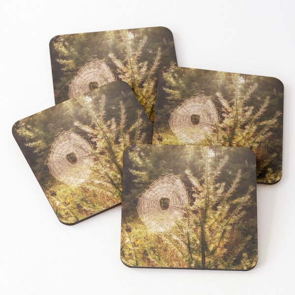 Item preview, Web In Morning Sun designed and sold by Robert Alsop.