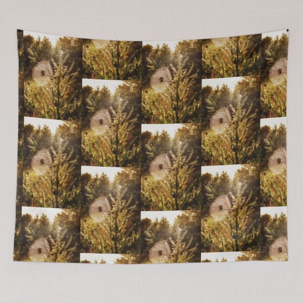 Item preview, Web In Morning Sun designed and sold by Robert Alsop.