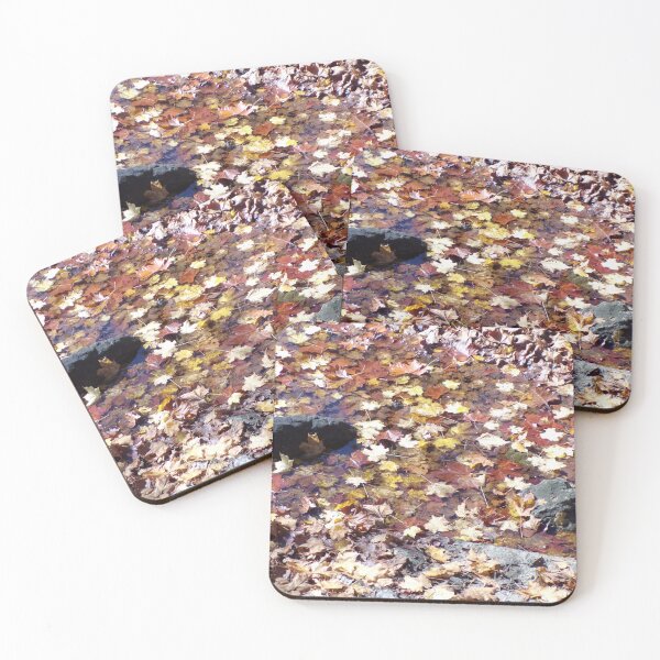Item preview, Autumn leaves and rocks in the creek designed and sold by AlicesArtistry.