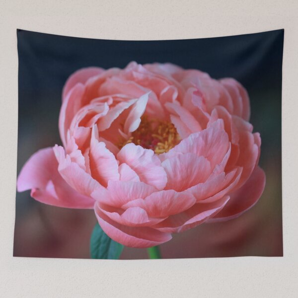 Aperçu de l'œuvre Pion Rose Belle Fleur créée et vendue par MorningFive.