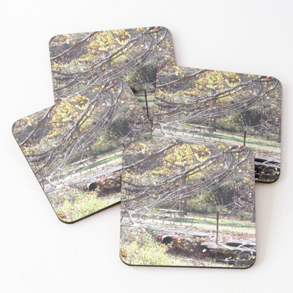 Item preview, Lower camping area in Blue Rock State Park designed and sold by AlicesArtistry.