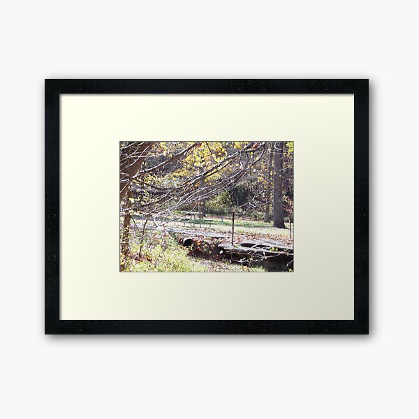 Item preview, Lower camping area in Blue Rock State Park designed and sold by AlicesArtistry.