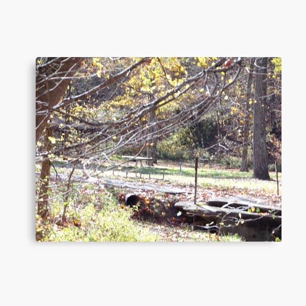 Item preview, Lower camping area in Blue Rock State Park designed and sold by AlicesArtistry.