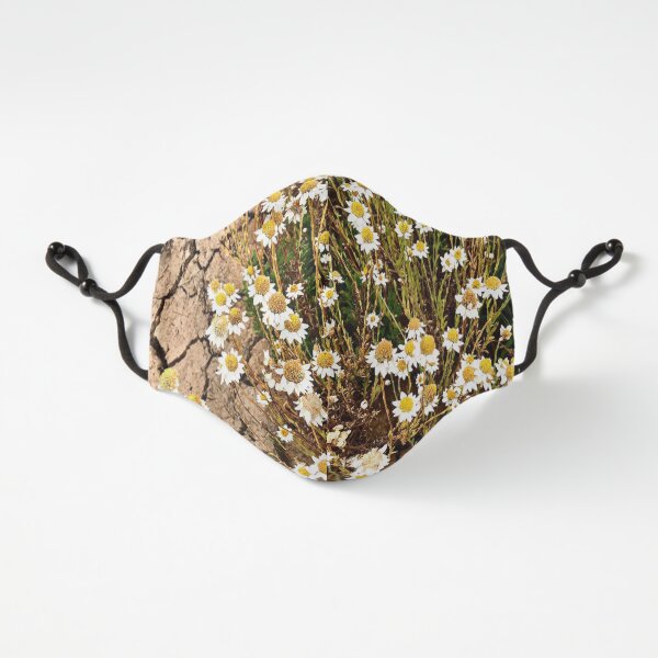 Macquarie Marshes daisy Fitted 3-Layer