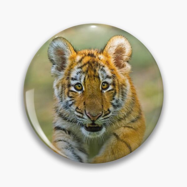 Item preview, Tiger Cub Attack designed and sold by MorningFive.