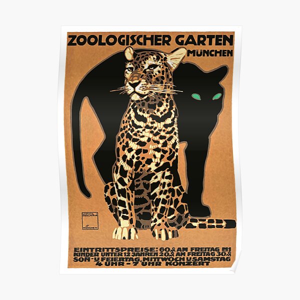 1912 GERMANY Munich Zoo Leopard And Panther Poster Poster