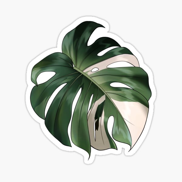 Vista previa del artículo con la obra «Monstera», diseñado y vendido por l-jx.