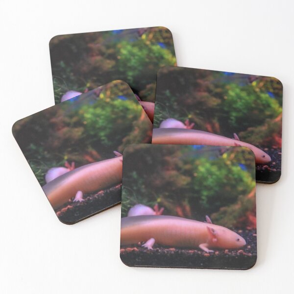 Item preview, Axolotl designed and sold by IshitaPoint.