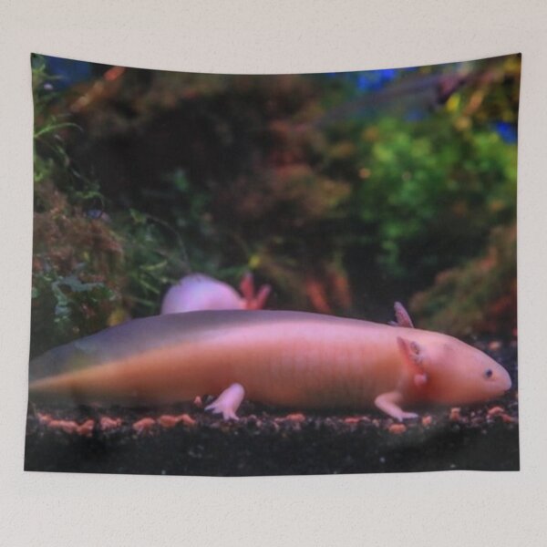 Item preview, Axolotl designed and sold by IshitaPoint.