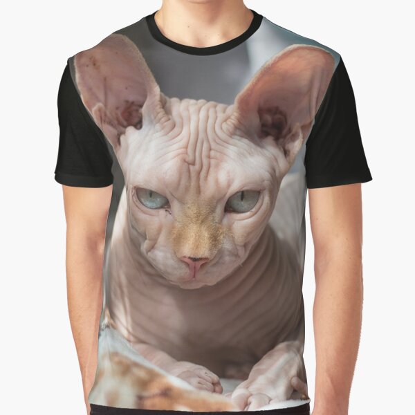 Cat With No Fur Gifts Merchandise Redbubble