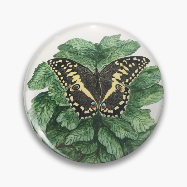 Item preview, Papilio Demodocus designed and sold by Art & Painting.