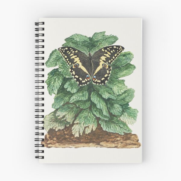 Item preview, Papilio Demodocus designed and sold by Art & Painting.