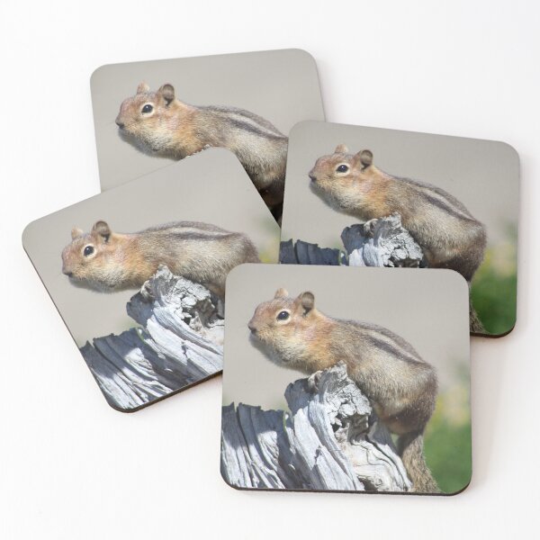 Item preview, golden-mantled ground squirrel designed and sold by Megan A.