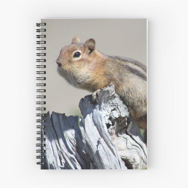 Item preview, golden-mantled ground squirrel designed and sold by Megan A.