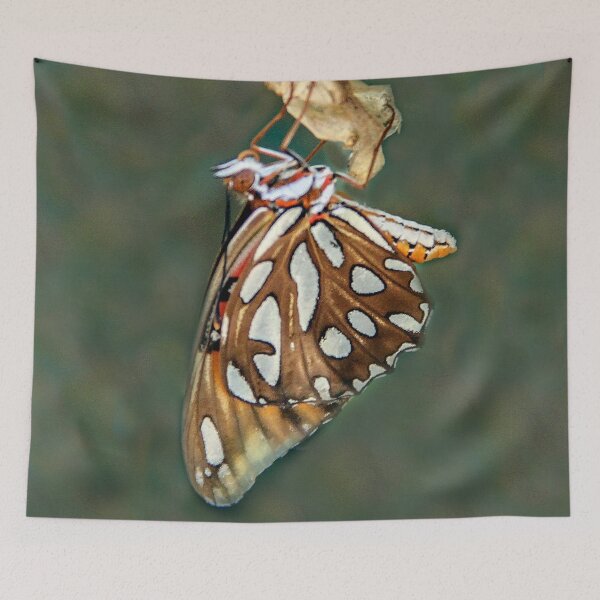 Item preview, Hanging Out To Dry designed and sold by heatherfriedman.
