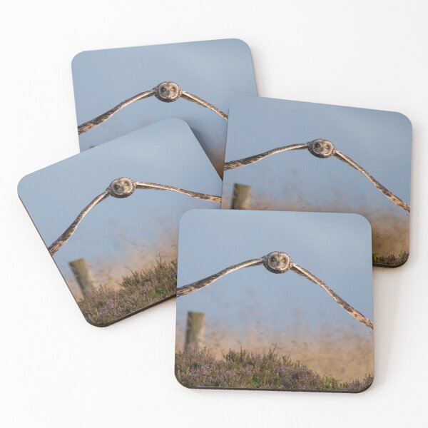 Item preview, short eared owl designed and sold by tammy mellor.