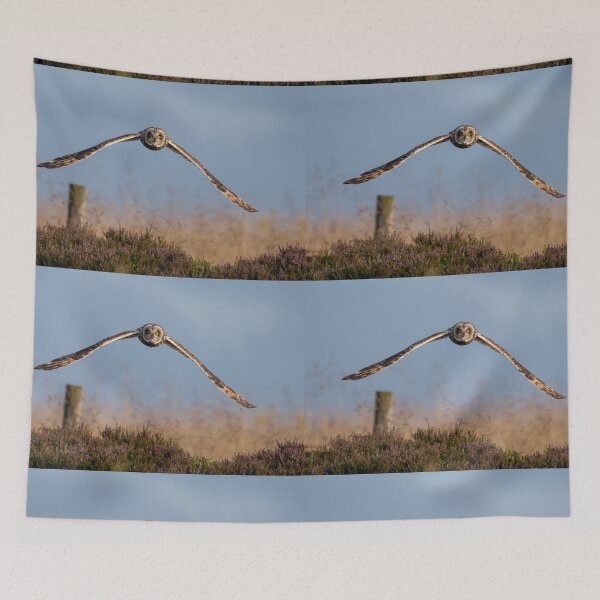 Item preview, short eared owl designed and sold by tammy mellor.