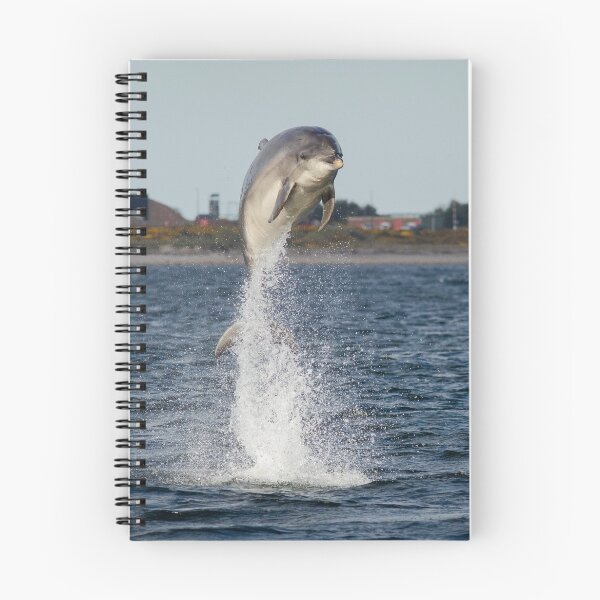 Item preview, Bottlenose Dolphin High Jump designed and sold by cjdolfin.