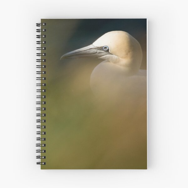 Item preview, Gannet in Grass designed and sold by cjdolfin.