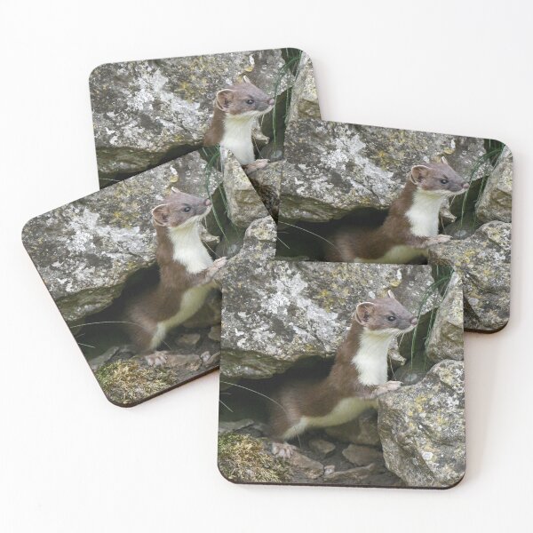Item preview, stoat designed and sold by tammy mellor.