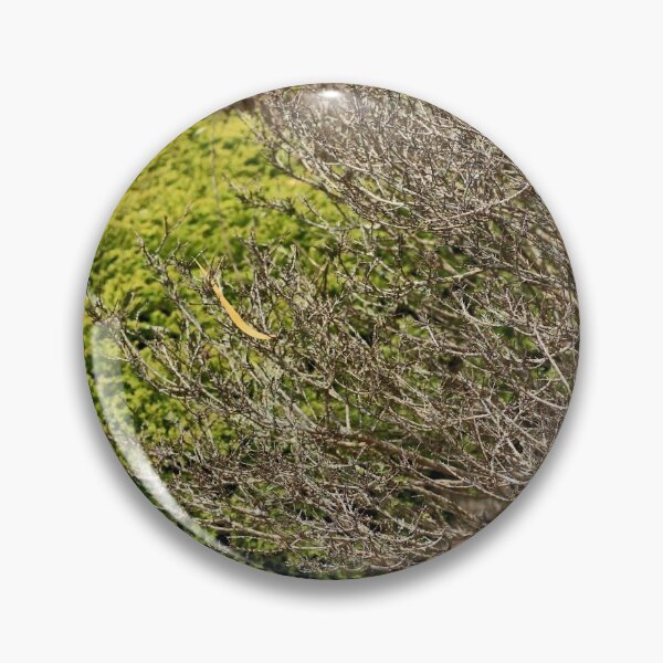 Item preview, The Park  designed and sold by Jodie Cooper.