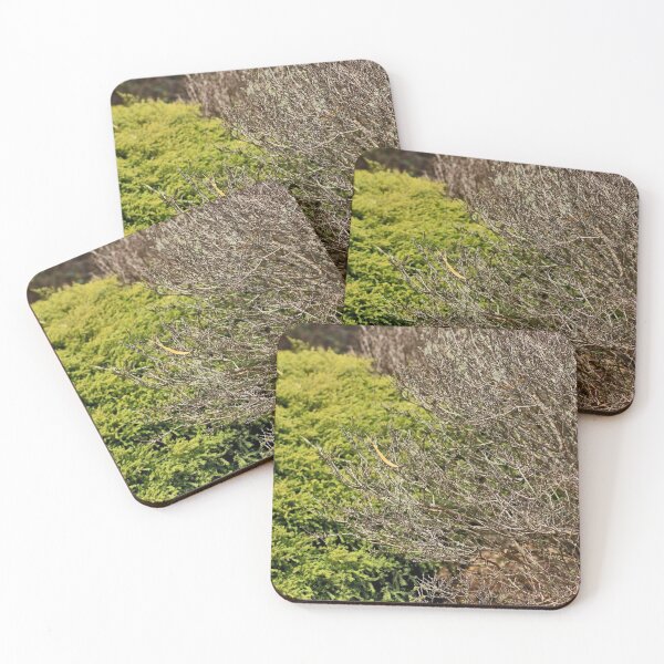 Item preview, The Park  designed and sold by Jodie Cooper.