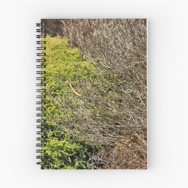 Item preview, The Park  designed and sold by Jodie Cooper.