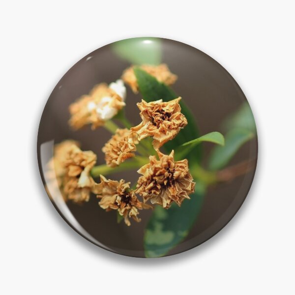 Item preview, Flower designed and sold by Jodie Cooper.