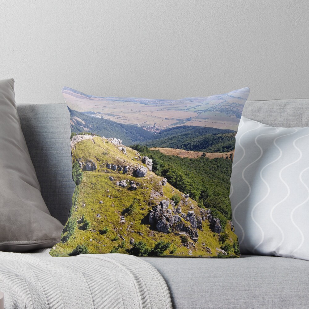 Item preview, Throw Pillow designed and sold by Mallorn.